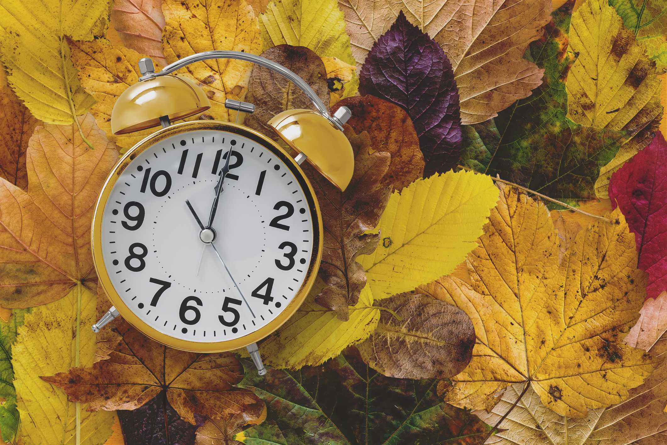 Fall back: Susquehanna Valley gets an extra hour of sleep — WGAL 8 (Lancaster/Harrisburg/York)